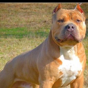 Meet your Posher, Karl